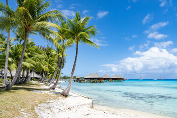 Summer vacation at the beach on a tropical island in the South Seas, French Polynesia