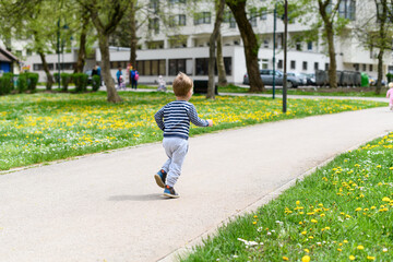 Back View of Boy Walking Outoodrs in Park