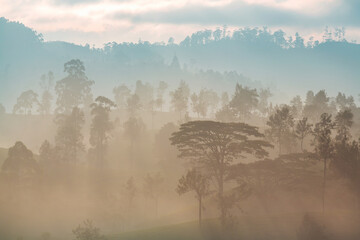 Naklejka premium Mountains on Sri Lanka