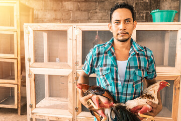 Fighting cock breeder holding two fighting birds in his hands ready for combat and looking at the...