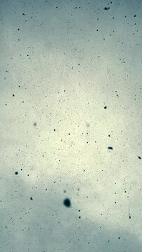 Fat snowflakes pour from the winter sky