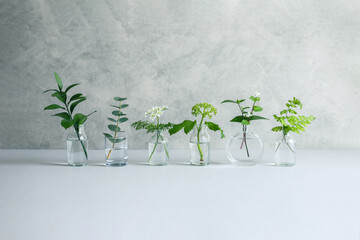 植物　花　背景　花瓶　飾る　インテリア　ナチュラル