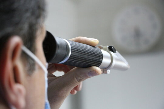 doctor using a clinical pet urine refractometer