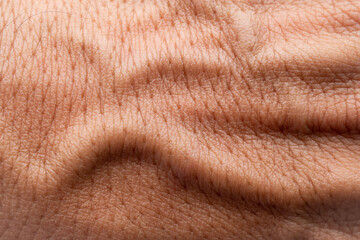 human texture embossed veins close-up abstract background