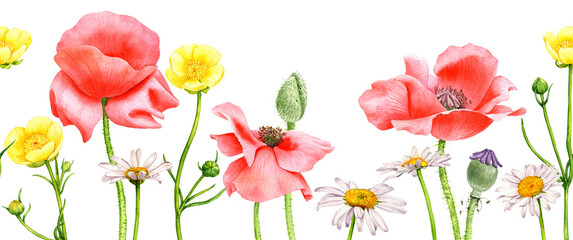 Obraz premium watercolor drawing red poppy flowers and yellow buttercups, floral seamless border background, hand drawn illustration