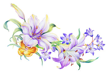 Flowers watercolor illustration. Manual composition. Big Set watercolor elements. - 504063130