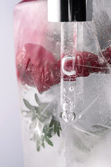 Pipette on a large piece of ice with frozen flowers.