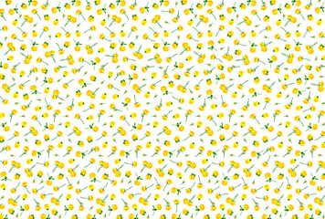 黄色いバラが一面に散らばる背景素材
