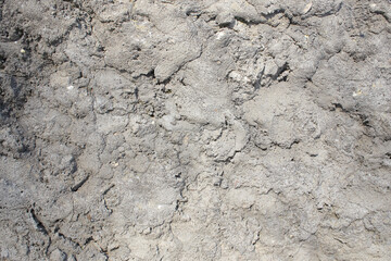 Stone, old wall.