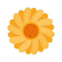 yellow sunflower garden