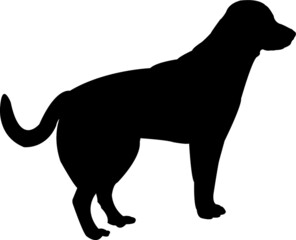 Dog Vector Silhouette