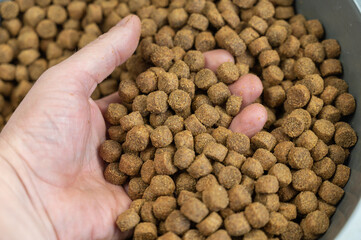 A man's hand holds dry pelleted pet food. Brown round pellets. Pet food.