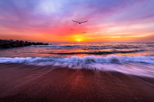 Ocean Sunset Landscape Birds