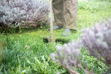Lawn mover on green grass. Machine for cutting lawns.