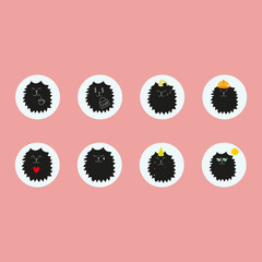 highlights with a black cat