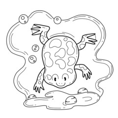 animals coloring book alphabet. Isolated on white background. Vector cartoon xenopus.