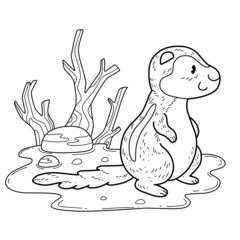 animals coloring book alphabet. Isolated on white background. Vector cartoon xerus.