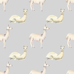 Fototapeta premium Watercolor seamless pattern with cute Lama hand drawn. Can be used design, print, fabric.