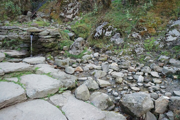 Natural rocky waterfall creek among green forest park