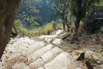 Rocky trail steps with natural landscape of green mountain view- Annapurna Himalayan range, Nepal