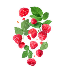 Ripe raspberries with leaves in the air isolated on a white background