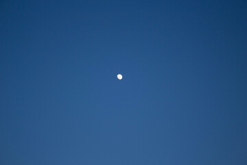moon in the sky