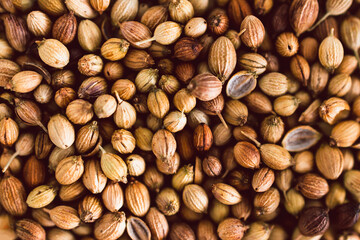 spice jar with coriander seeds close-up shot of pantry ingredients