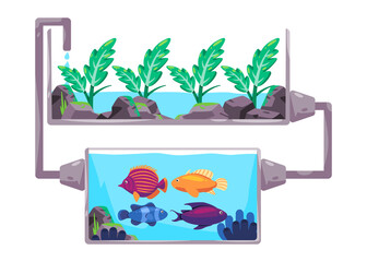 Aquaponics system in smart farming method flow of water and nutritions using fish in diagram process