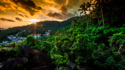 panoramic background of high mountain scenery, overlooking the atmosphere of the sea, trees and wind blowing in a cool blur, spontaneous beauty
