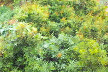 Green forest fantasy abstract background. Abstract background. Oil painting style abstract background.
