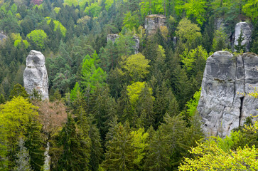 round rock formations attract climbers. sandstone rock towers polished by wind erosion. deciduous, mixed forest with beeches in early spring. lush leaves and gray rocks in the shape of elephant's back