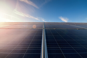 A lot of solar panels in a solar energy power plant used to produce electricity from the sunlight. Blue sky background and green grass in sunset light. Eco energy good for the environment.