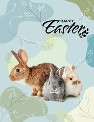 Easter greeting card with cute fluffy bunnies