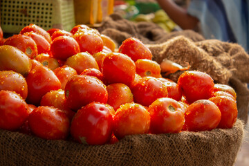 PUNE, INDIA - SEPTEMBER 25, 2015: Close-up image of freshly sprinkled tomatoes.