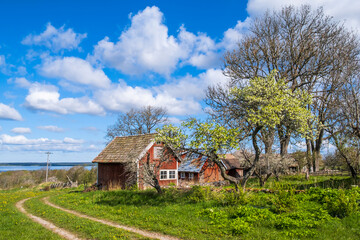 Obraz premium Farm in a rural landscape view