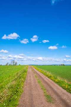 Gravel road at the fields to the horizon