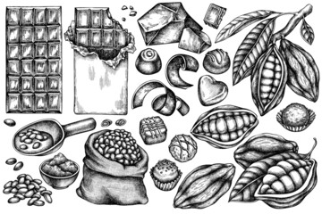 Vector set of hand drawn black and white cocoa beans, cocoa, chocolate, chocolate candies