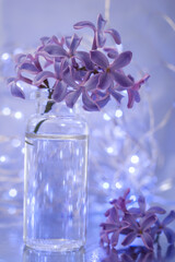 a background of lilac flowers with a blue LED garland