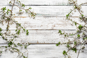Beautiful blooming spring branches on light wooden background