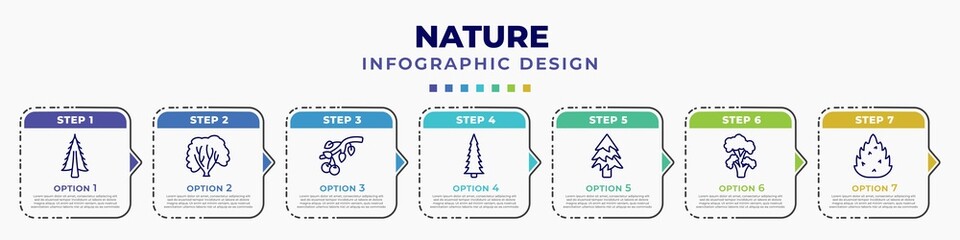 infographic template with icons and 7 options or steps. infographic for nature concept. included american larch tree, american hornbeam tree, black cherry tree, red spruce balsam fir black locust - obrazy, fototapety, plakaty