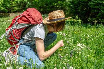 Woman with brown hair, gray t-shirt and jeans, red backpack and straw hat sitting down on a meadow and blowing a dandelion flower