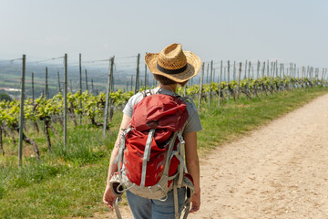 Hiking Woman with brown hair, gray t-shirt, jeans, straw hat and red backpack hiking next to a wine...