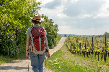 Woman with brown hair, straw hat and red backpack hiking next to a wine field on a hiking trail...