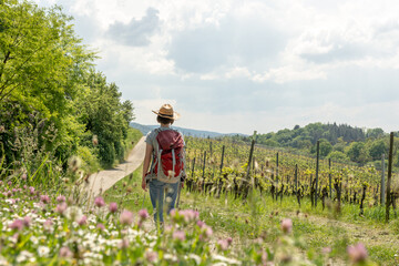 Woman with brown hair, gray t-shirt, jeans, straw hat and red backpack hiking in the nature,...