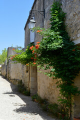 Charmante petites rue fleurie et des maisons en pierre, à Saint Emilion en Gironde