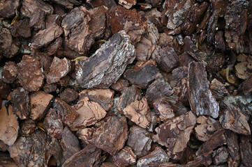 Background texture of a pieces of bark of a tree.Natural background of pieces of tree bark wood chip mulch for gardening