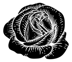 Rose Flower Vintage Woodcut Drawing