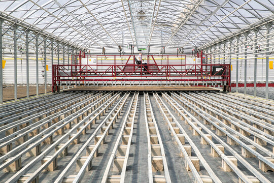 Vegetable farms. The greenhouse produces most of the vegetables.seedling complex, high-performance greenhouse, professionally grown seedlings