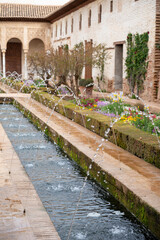 Fototapeta na wymiar Gardens and buidings of medieval palace Generalife in fortress Alhambra, Granada, Andalusia, Spain