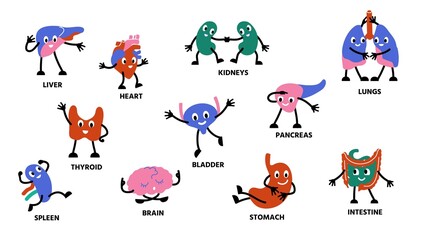 Human body organs characters. Cartoon cute anatomy mascot persons with hands legs and happy faces. Vector kidney stomach lungs character set